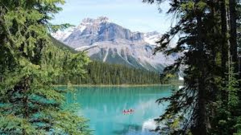 Canada Is Offering Permanent Residency To Foreign Nationals