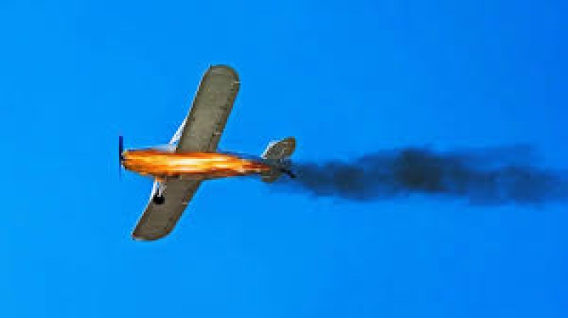 International-News