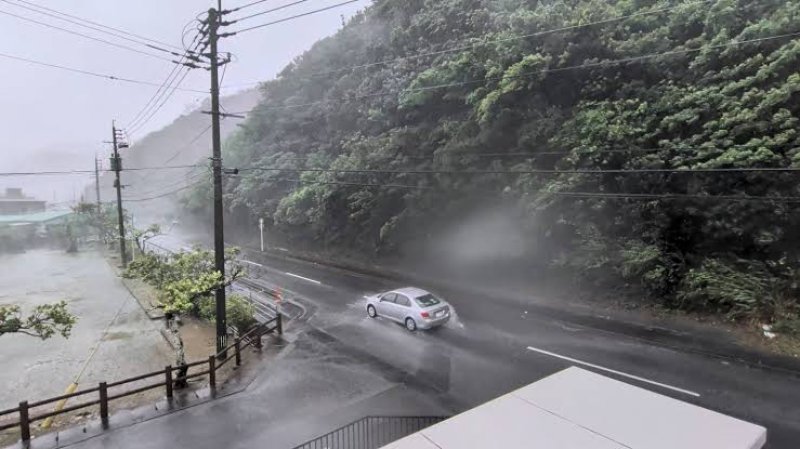 Typhoon Dolphin hits Japan, heads towards China