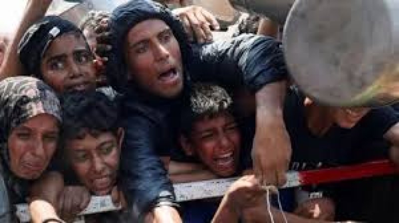 International-News