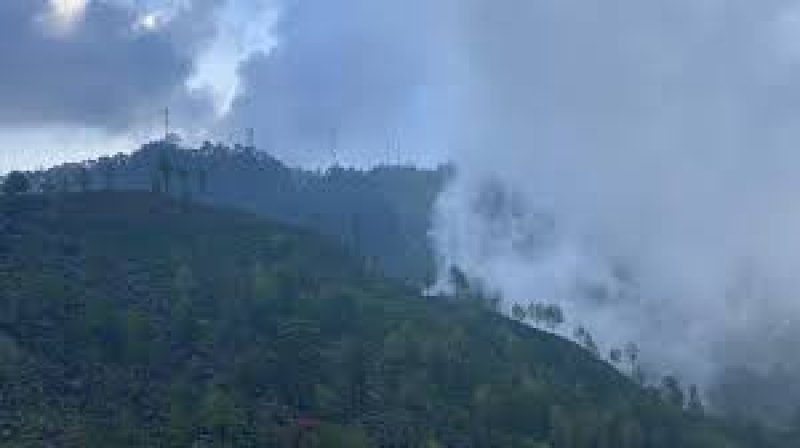 Fire Breaks Out in Namunukula Mountain Reserve