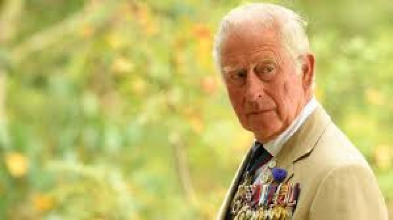 King Charles released from hospital 
