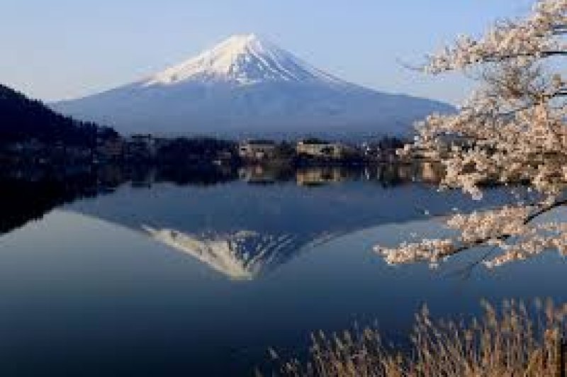 International-News