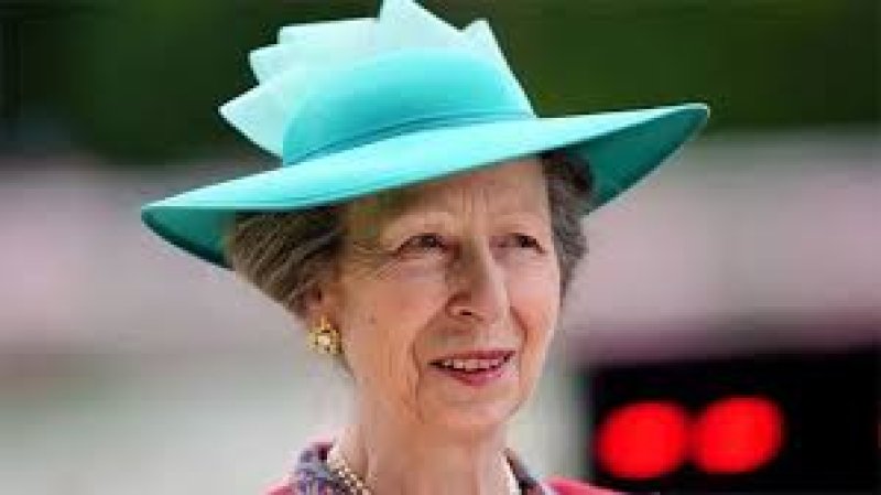 Princess Anne admitted to hospital after head injury