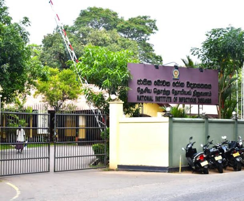 NIID named WHO dengue research and training centre