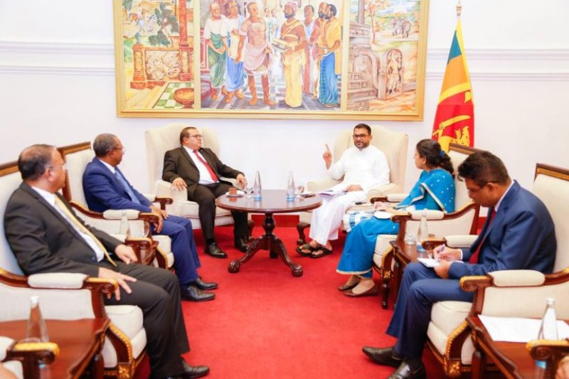 Maldivian parlimentary delegation calls on the acting FM