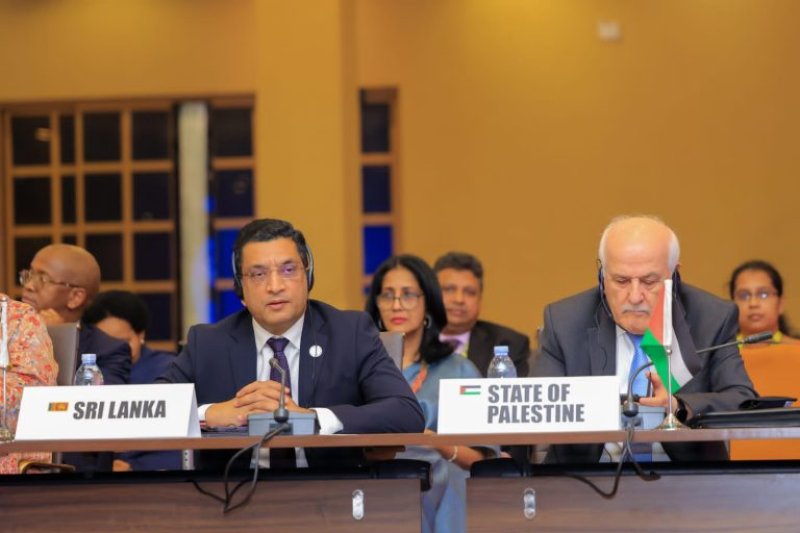 Ali Sabry addresses the NAM committee on Palestine
