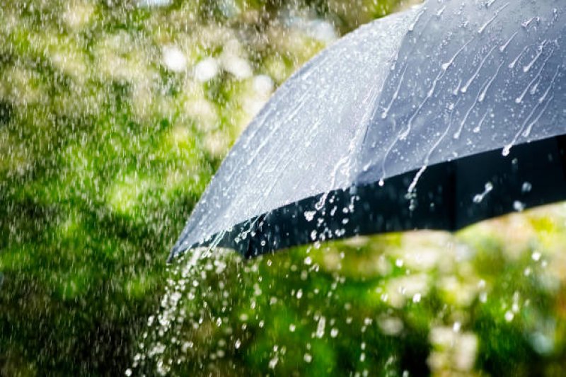 Fairly heavy rainfall expected in several areas