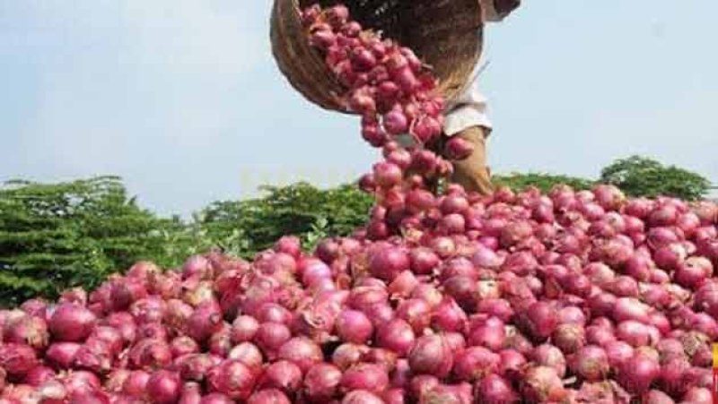 North Central farmers decry lack of fair price for big onion