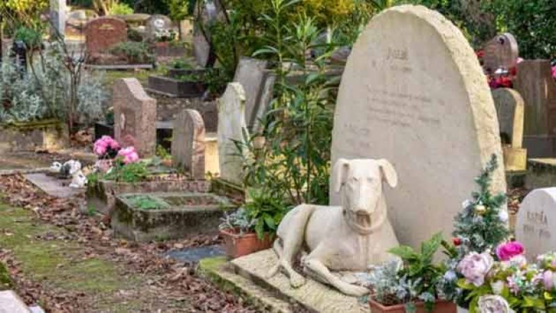 Rs. 100 million allocated for pilot project on pet burial