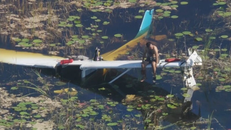 Pilot rescued after Florida Everglades plane crash