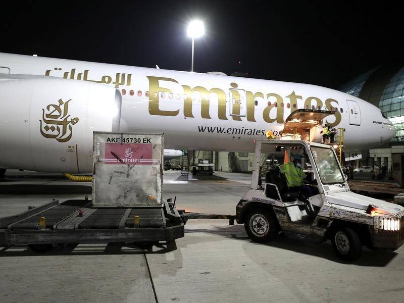 Flight Lands Safely After Hitting Flamingos in Mumbai