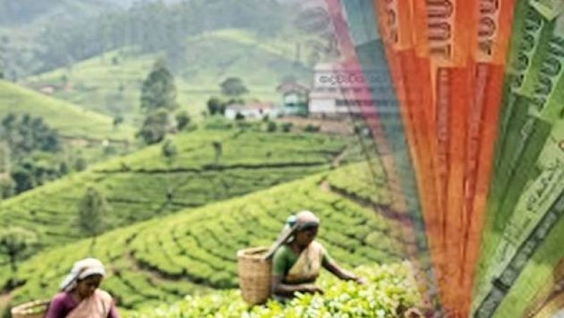 New pension scheme proposed for tea industry workers