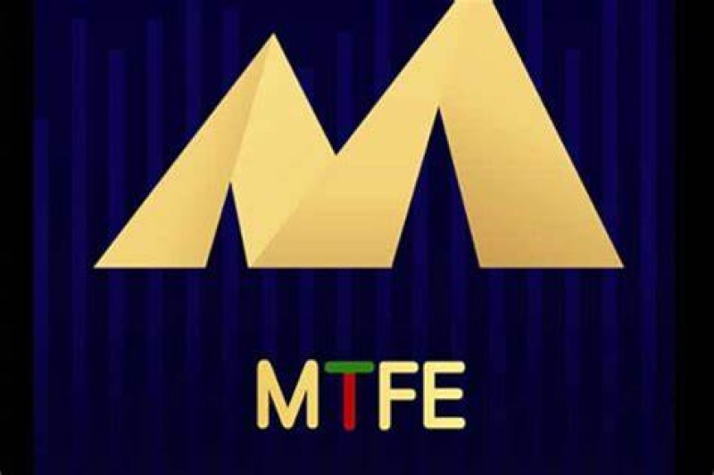 Overseas travel ban imposed on 4 top officials at MTFE