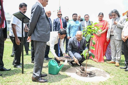 article_image