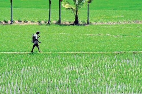 article_image