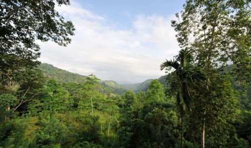 article_image