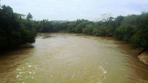 article_image