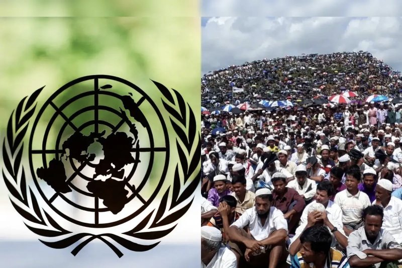 UN backs safe, dignified return of Sri Lankan refugees
