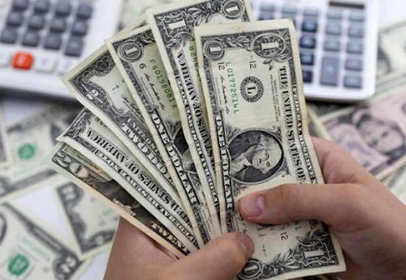 Sri Lanka's official reserves rise in February 2024 