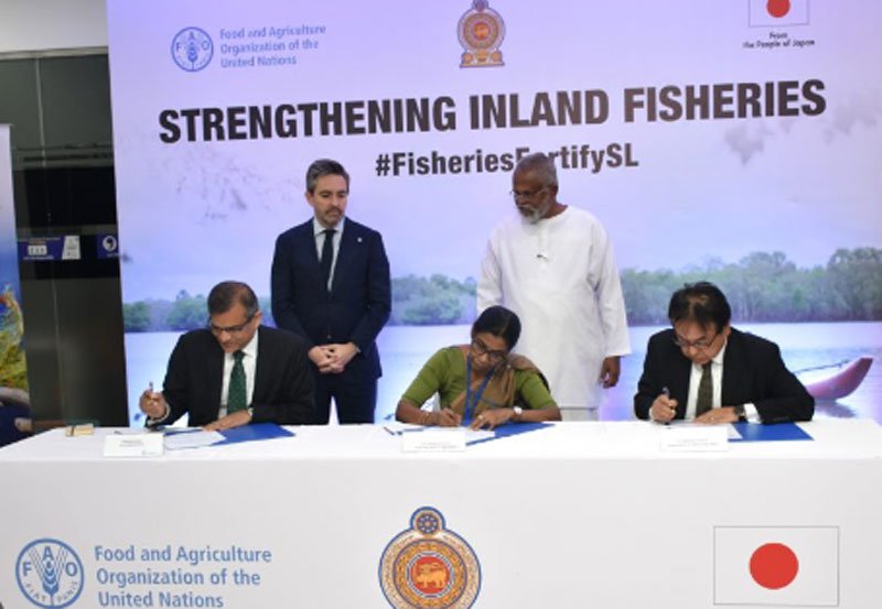 Japan grants US$3 Mn to boost Sri Lanka fisheries sector