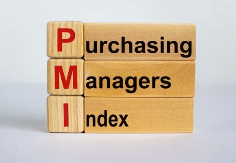 Sri Lanka's economy shows resilience as PMI indicates expans
